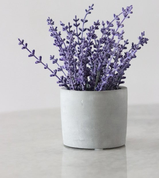 Smilkalų lazdelės Lavender, Sri Sri Tattva, 20g