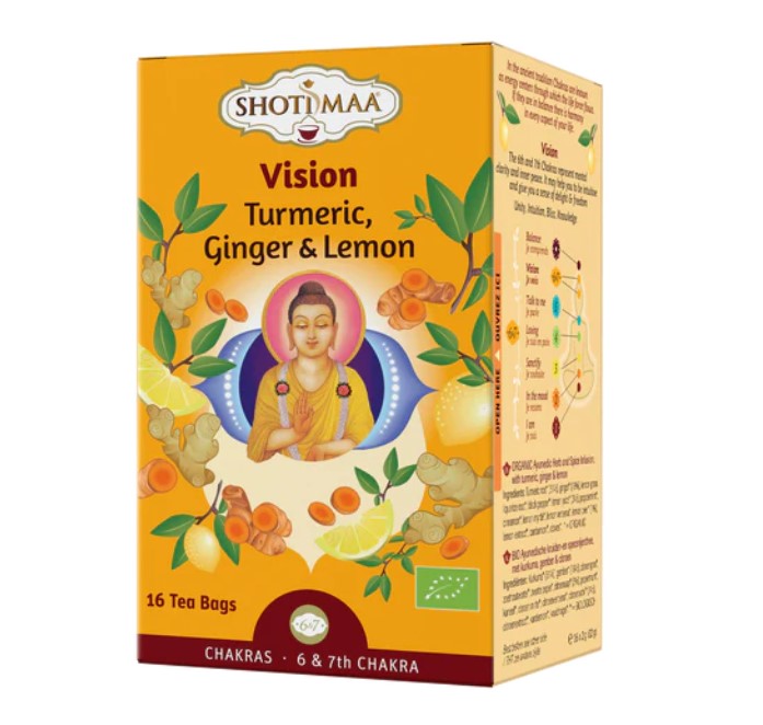 Prieskoninė arbata VISION, ciberžolė, imbieras, citrina, ekologiška, 16 pak.