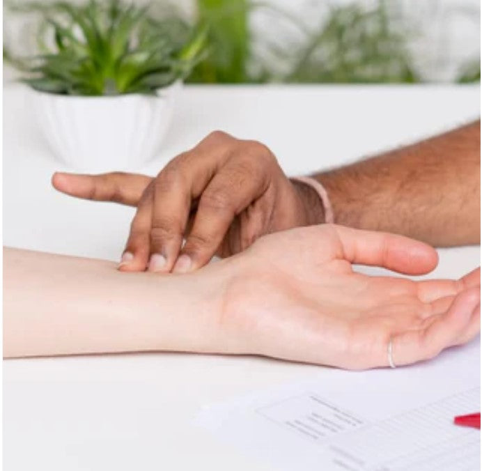 Išsami pulso diagnostikos konsultacija (1 val.)